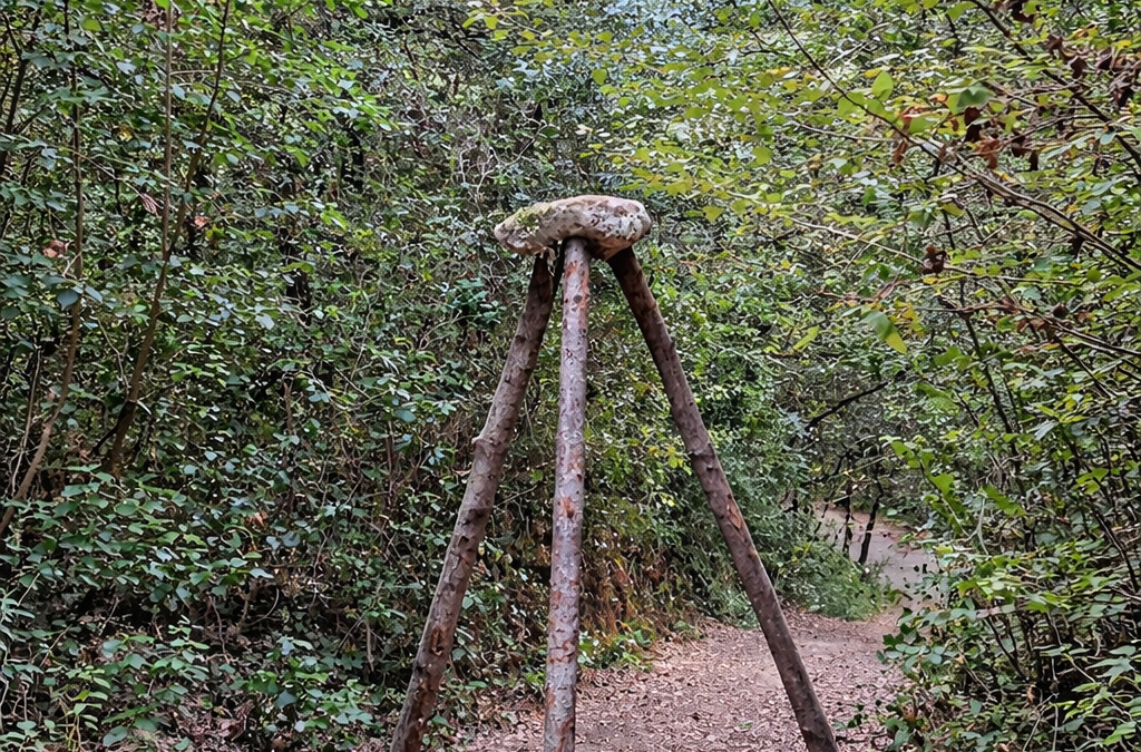 QUATRE EXERCICIS DE LEVITACIÓ