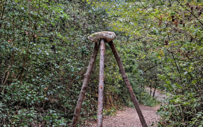 QUATRE EXERCICIS DE LEVITACIÓ