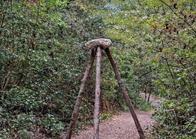 QUATRE EXERCICIS DE LEVITACIÓ